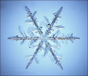 snow_flake_03